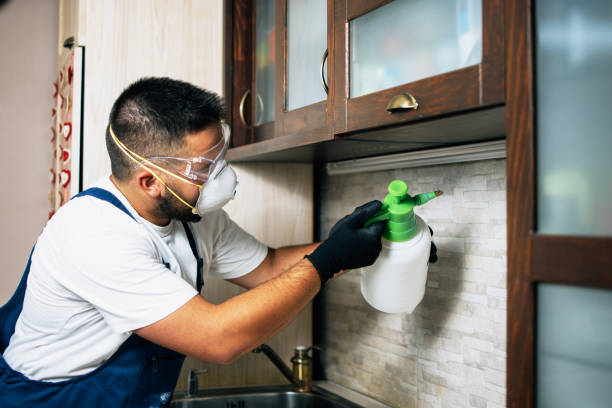 Best Pest Inspection Near Me  in Connellsville, PA