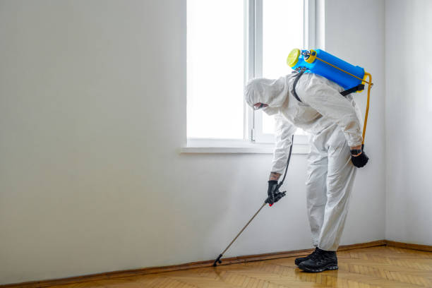 Best Cockroach Control Services  in Connellsville, PA