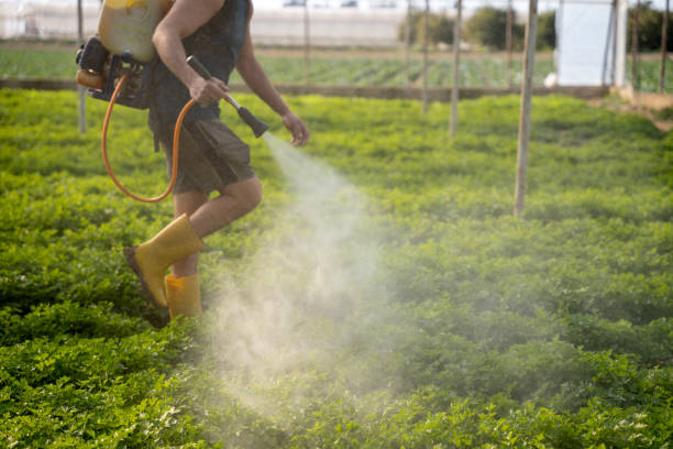 Best Pest Control for Restaurants  in Connellsville, PA
