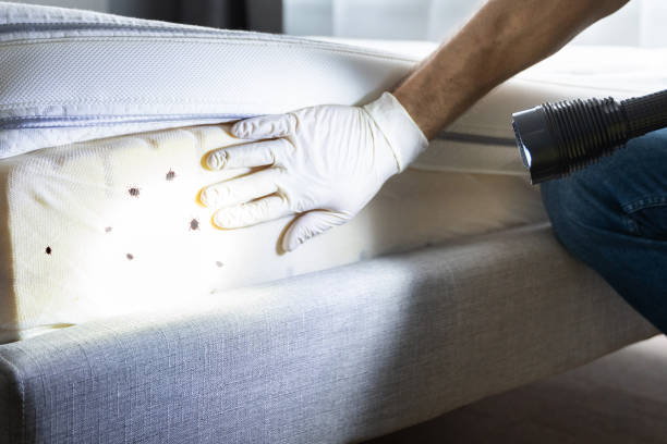 Pest Prevention Services in Connellsville, PA