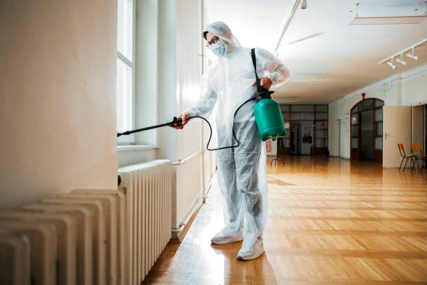 Best Wasp Removal Services  in Connellsville, PA