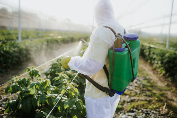 Best Pest Control Near Me in Connellsville, PA